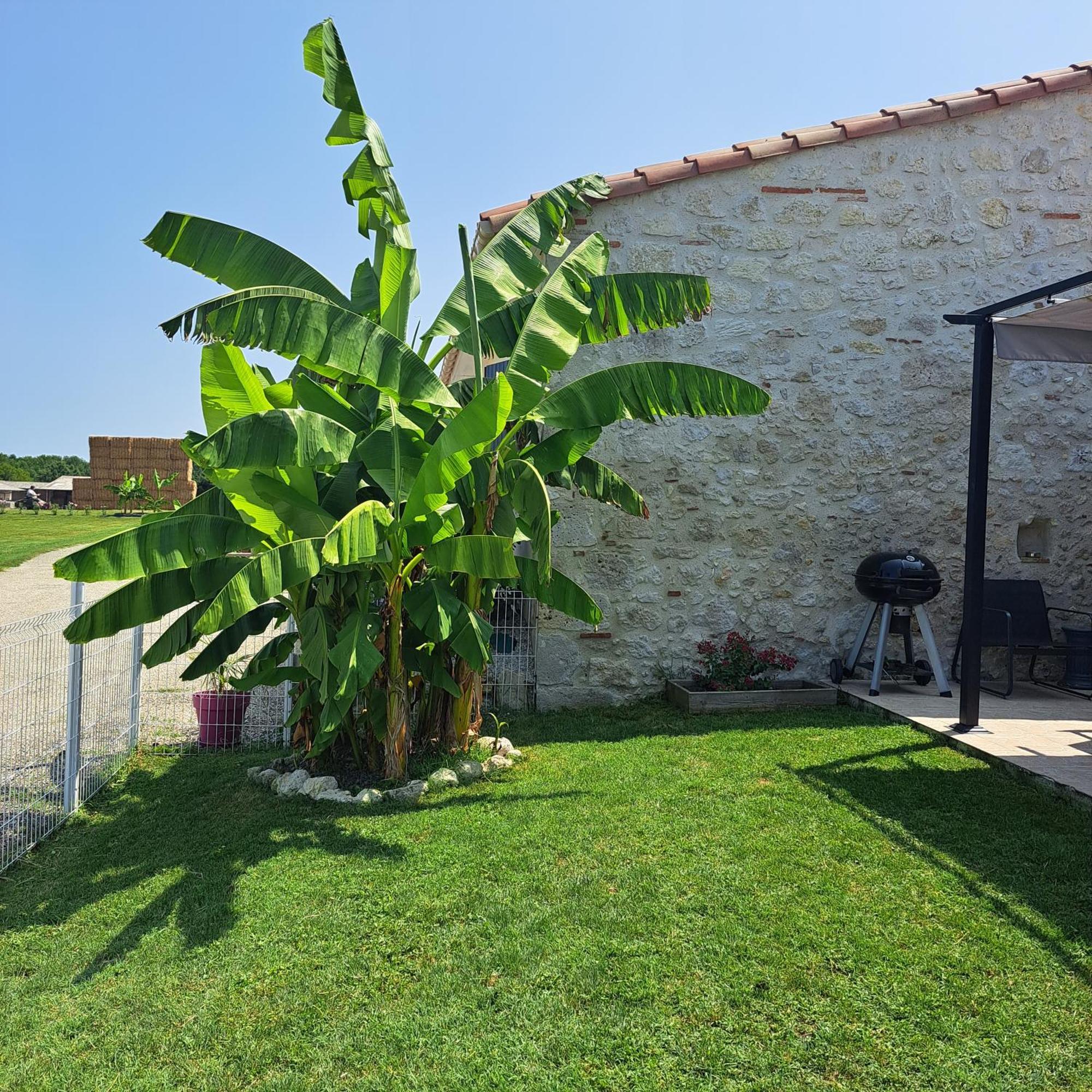 Villa Le Domaine Vesque Saint-Pierre-de-Clairac Esterno foto
